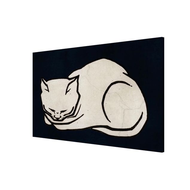Magnet boards animals Sleeping Cat Illustration