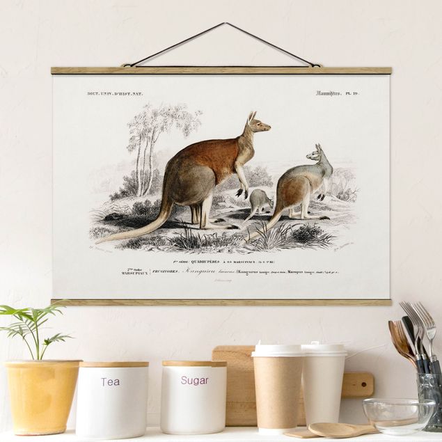Kitchen Vintage Board Kangaroo
