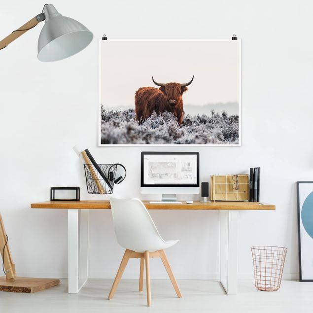 Contemporary art prints Bison In The Highlands