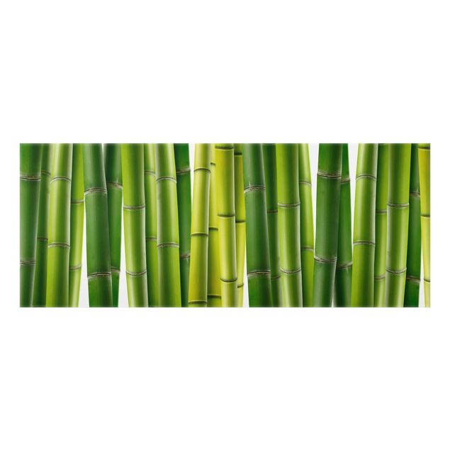 Glass splashback kitchen Bamboo Plants