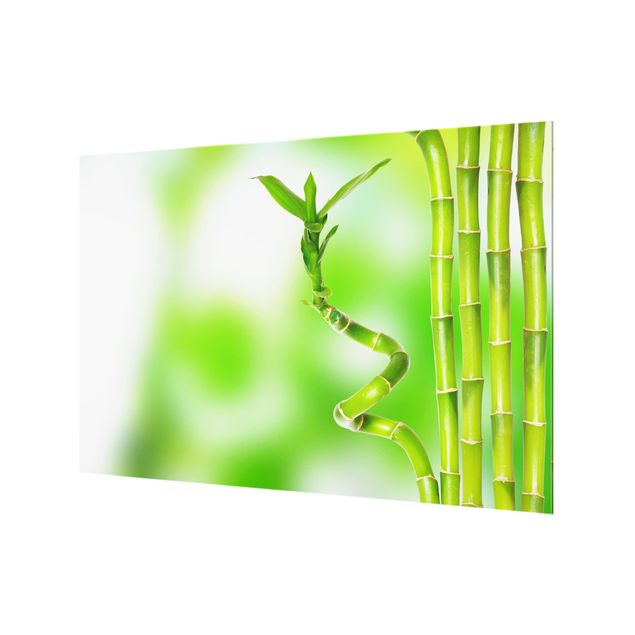 Glass Splashback - green bamboo - Landscape 2:3