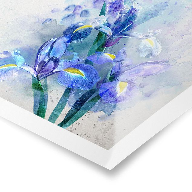 Navy blue wall art Watercolour Flowers Iris