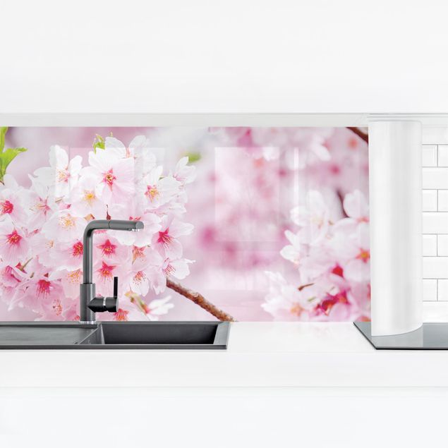 Adhesive films Japanese Cherry Blossoms