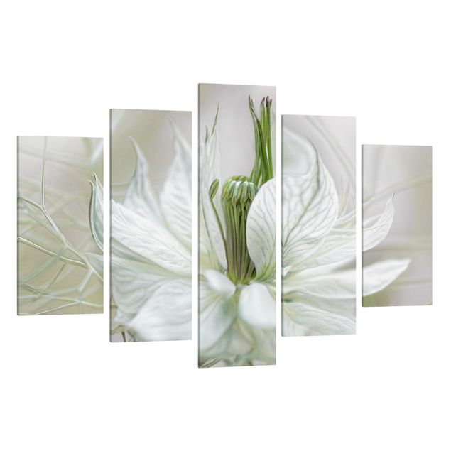 Prints floral White Nigella