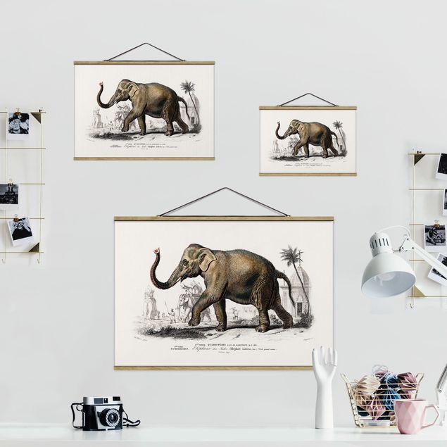 Retro prints Vintage Board Elephant