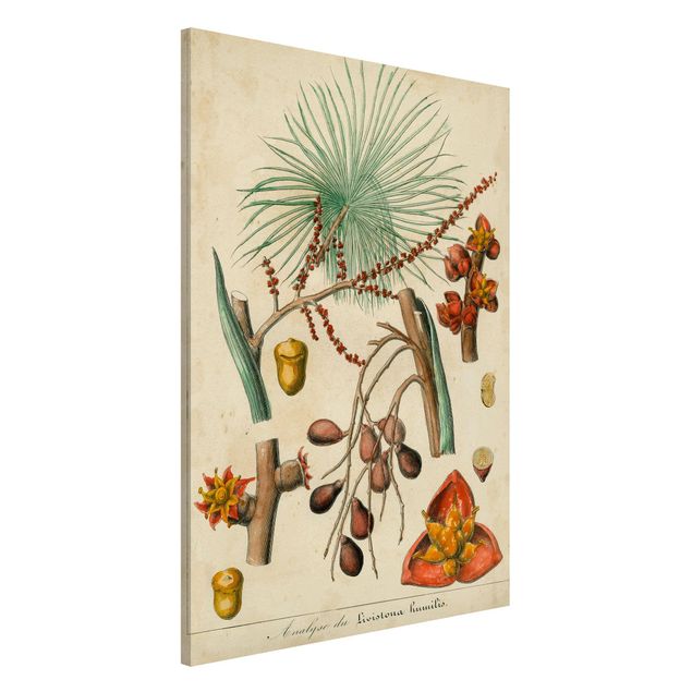 Kitchen Vintage Board Exotic Palms III