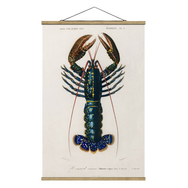 Retro photo prints Vintage Board Blue Lobster