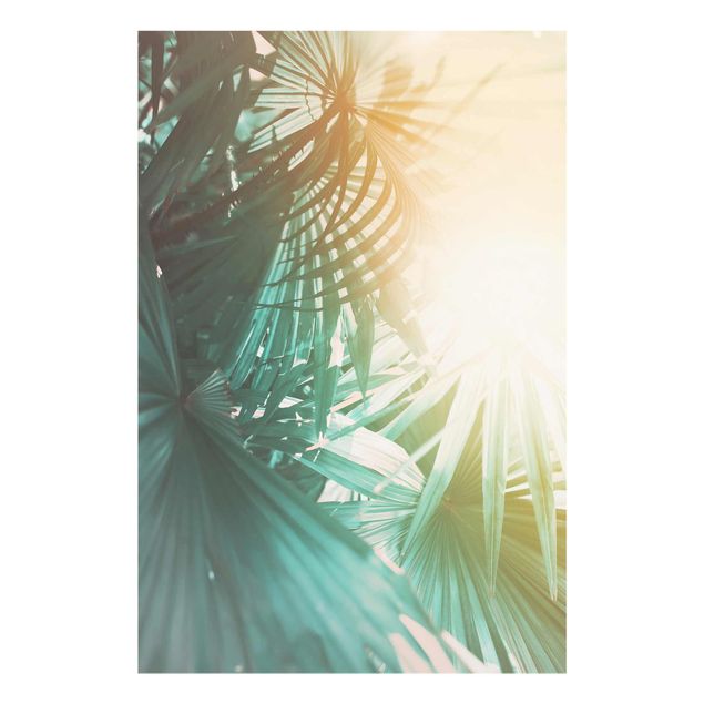 Prints floral Tropical Plants Palm Trees At Sunset