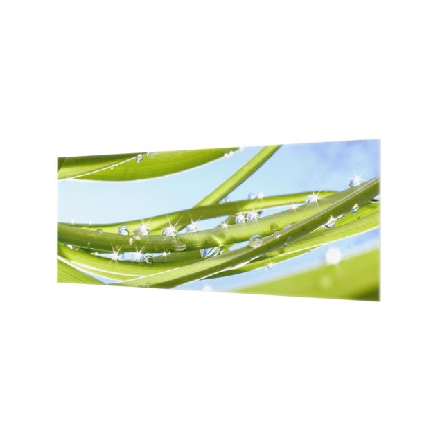 Glass Splashback - Fresh Green - Panoramic