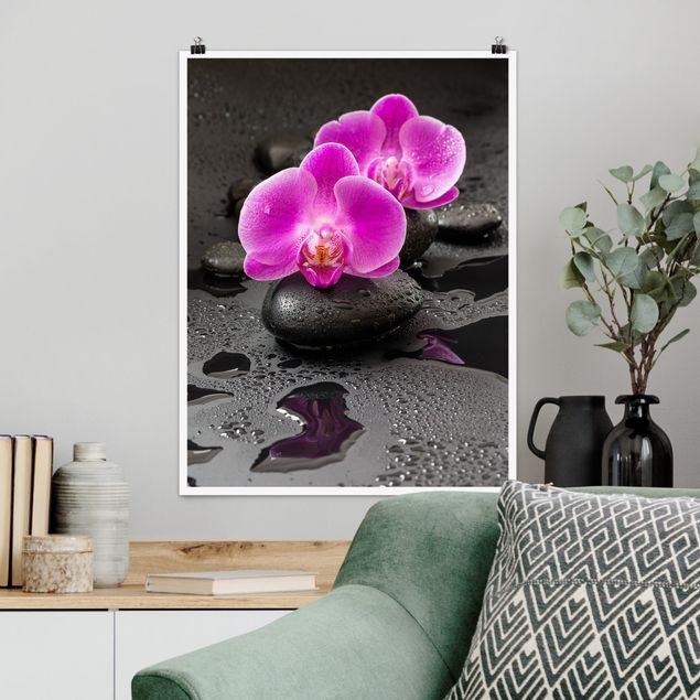 Kitchen Pink Orchid Flower On Stones With Drops