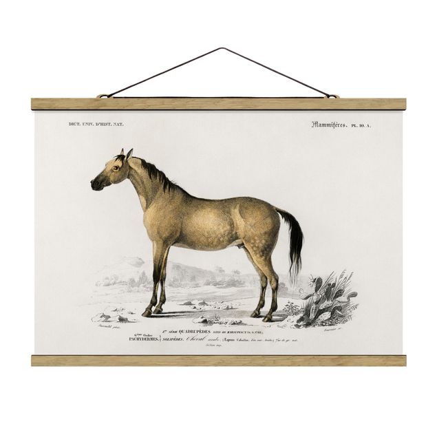 Animal wall art Vintage Board Horse