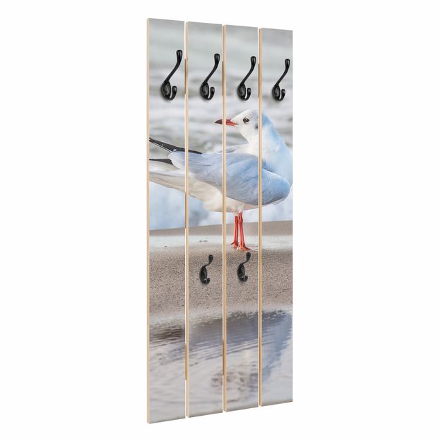 Wall mounted coat rack Seagull On The Beach In Front Of The Sea