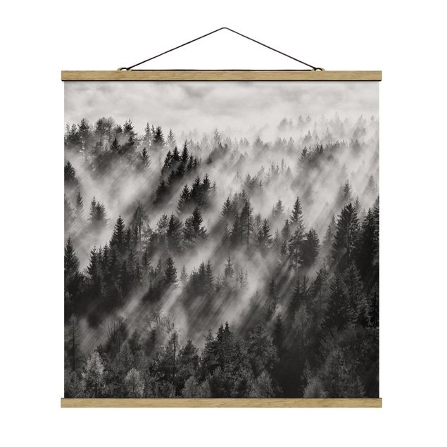 Contemporary art prints Light Rays In The Coniferous Forest