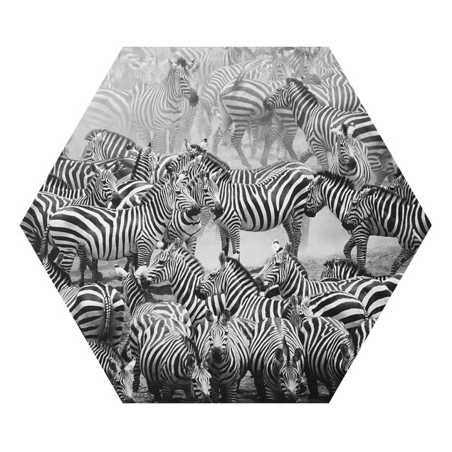 Prints africa Zebra herd II
