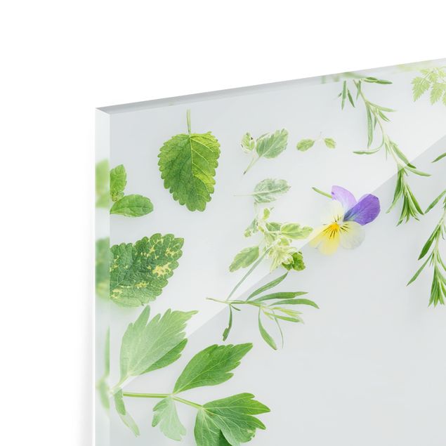 Glass Splashback - Herbs And Flowers - Panoramic