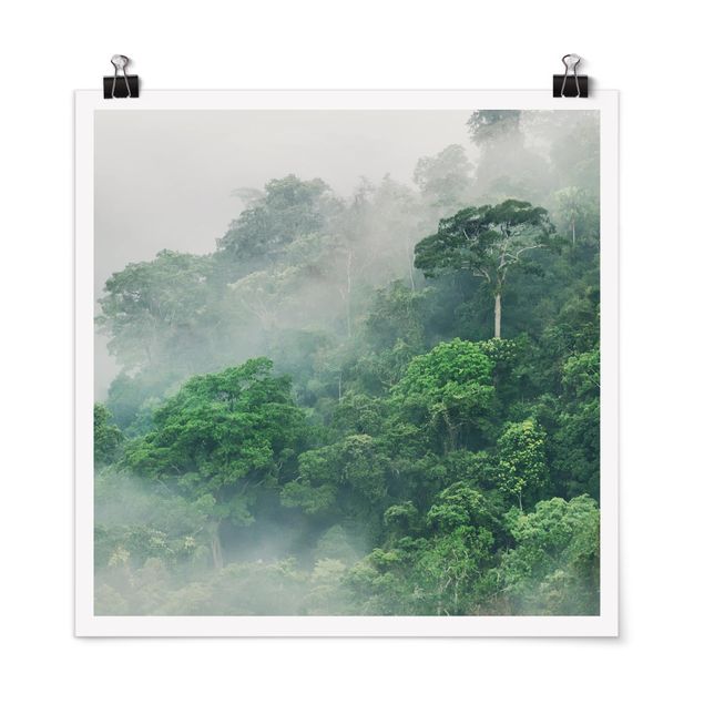 Jungle print Jungle In The Fog