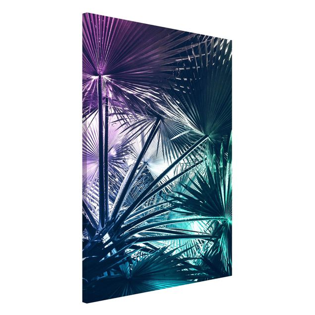 Kitchen Tropical Plants Palm Leaf In Turquoise IIl