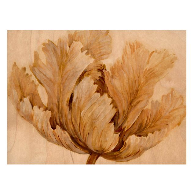 Magnet boards flower Sepia Tulip On Wood