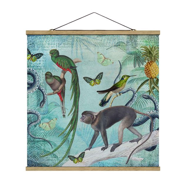 Prints animals Colonial Style Collage - Monkeys And Birds Of Paradise