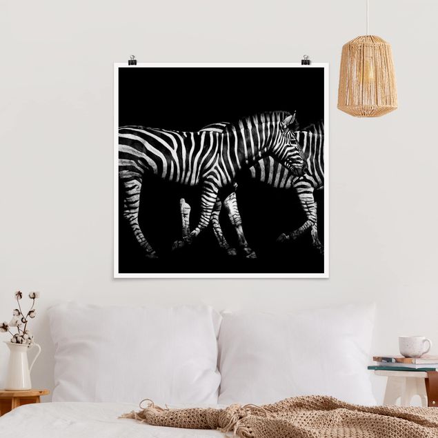 Prints zebra Zebra In The Dark