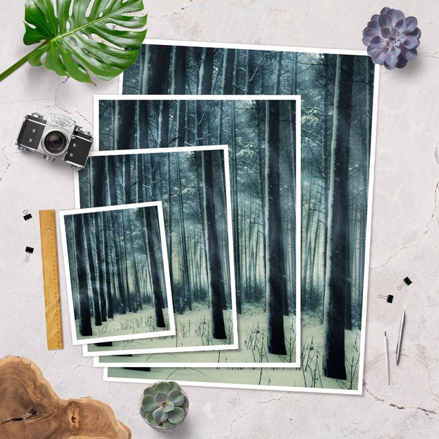 Prints Mystical Winter Forest