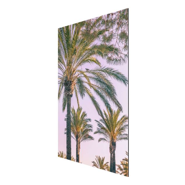 Canvas art Palm Trees At Sunset