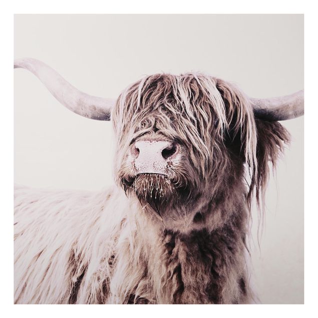 Prints animals Highland Cattle Frida In Beige