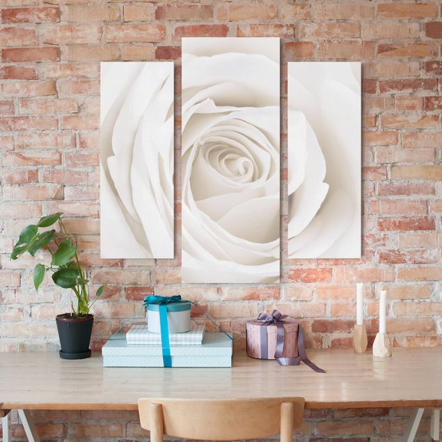 Rose canvas Pretty White Rose