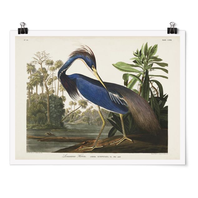 Retro prints Vintage Board Louisiana Heron