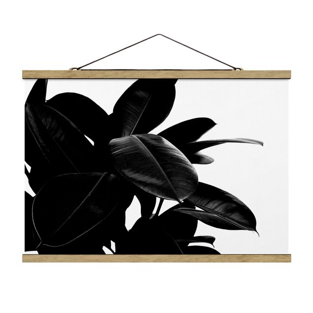 Floral picture Rubber Tree Black And White