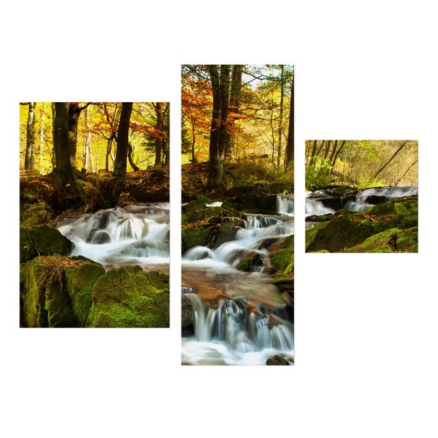 Canvas mountain Waterfall Autumnal Forest