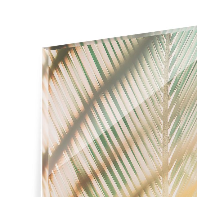 Glass Splashback - Tropical Plants Palms At Sunset II - Panoramic