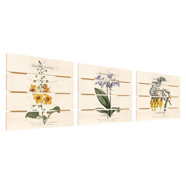 Wood photo prints Botanical Tableau Set I