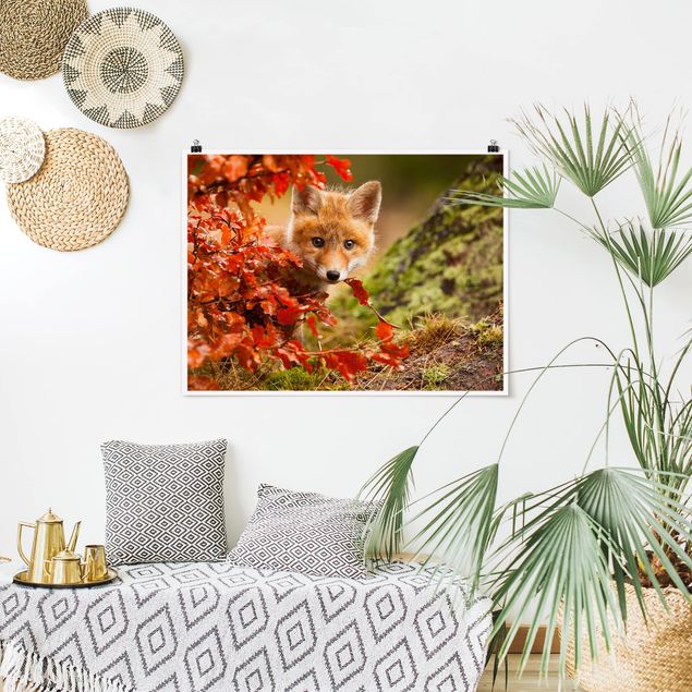 Landscape wall art Fox In Autumn