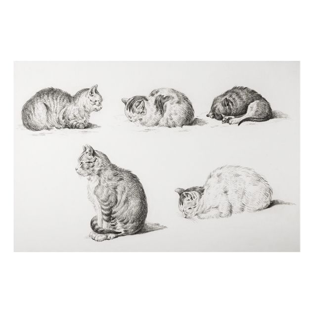 Cat prints Vintage Drawing Cat I