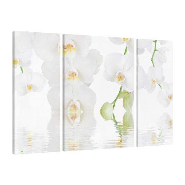 Prints floral Spa Orchid - White Orchid