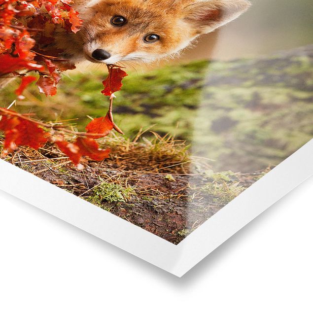 Floral prints Fox In Autumn