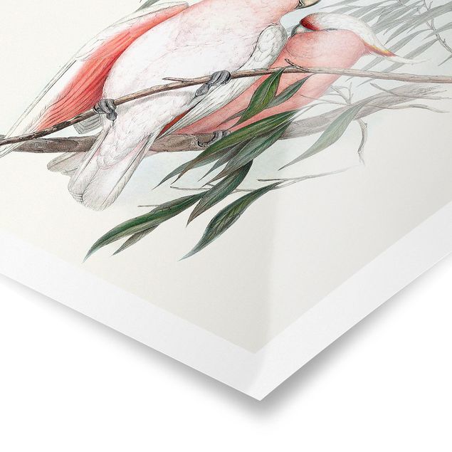 Prints Pastel Parrots I