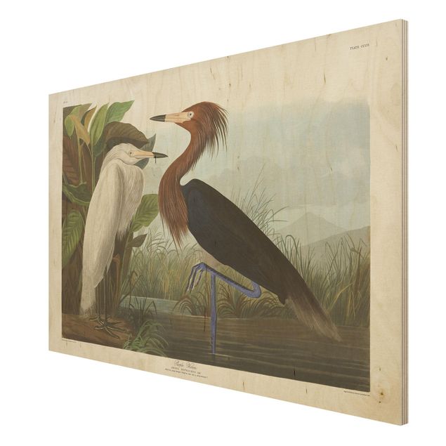 Prints Vintage Board Purple Heron