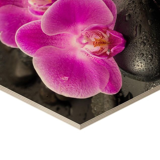 Wood prints Pink Orchid Flowers On Stones With Drops