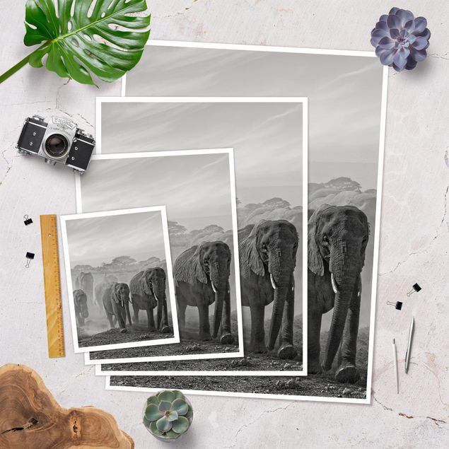 Prints Herd Of Elephants