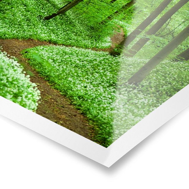 Nature wall art Romantic Forest Track