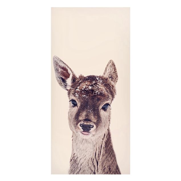 Magnet boards animals Fawn Portrait