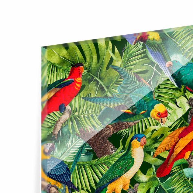 Glass splashbacks Colourful Collage - Parrots In The Jungle