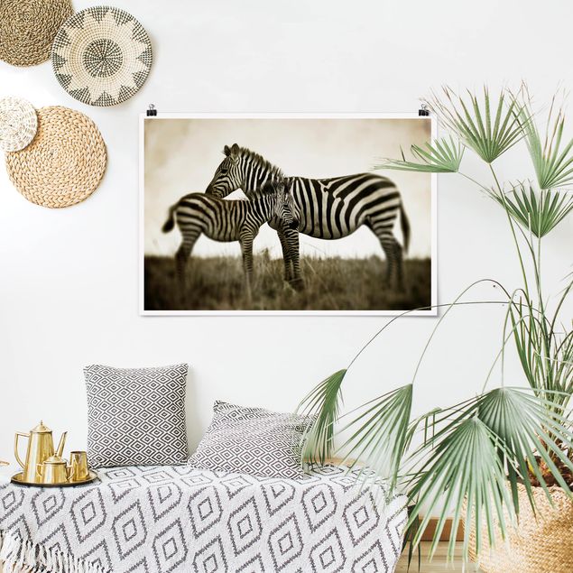 Prints animals Zebra Couple