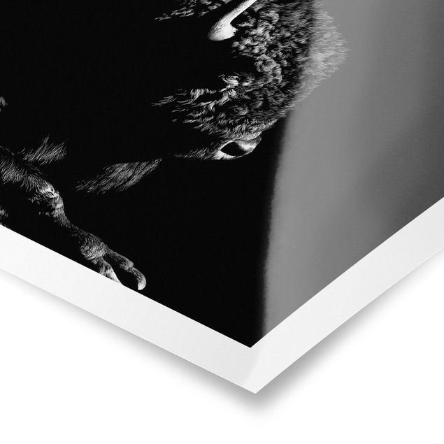 Prints black and white Bison In The Dark