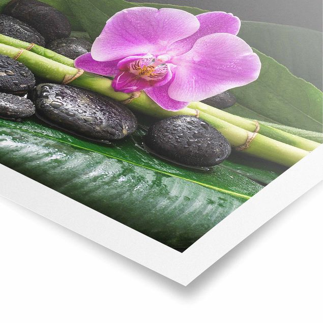 Posters art print Green Bamboo With Orchid Flower
