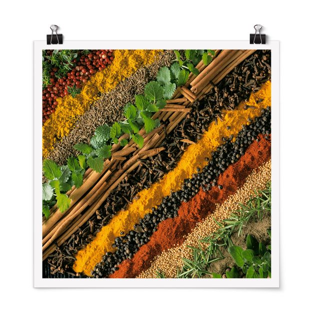 Herb prints Bands of Spices