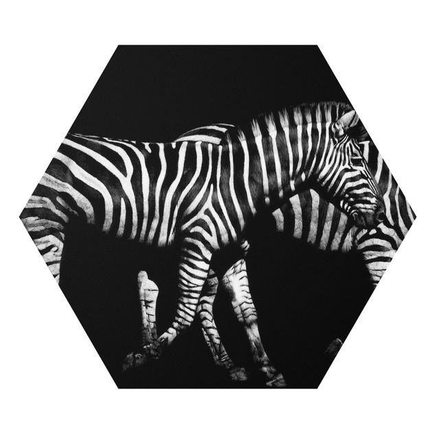 Forex prints Zebra In The Dark