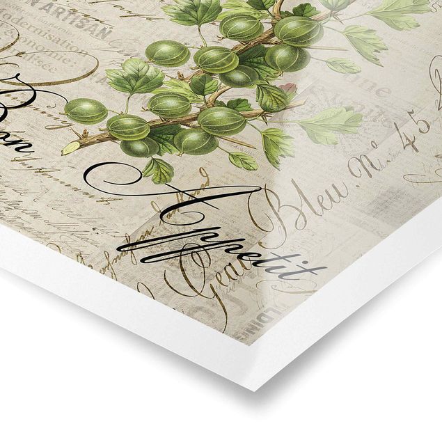 Andrea Haase Shabby Chic Collage - Gooseberry